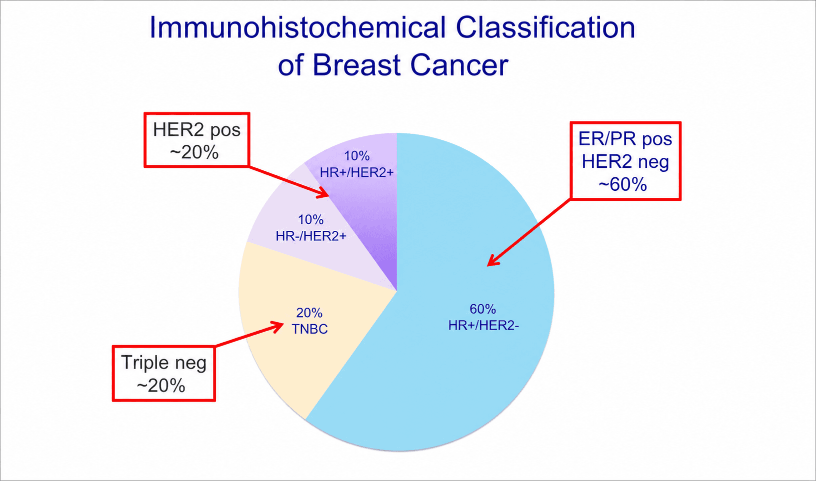 Pie chart of the immunohistochemical classification of breast cancer: HR-positive HER2-negative 60%, HR-positive HER2-positive 10%, HR-negative HER2-positive 10%, and triple-negative breast cancer 20%