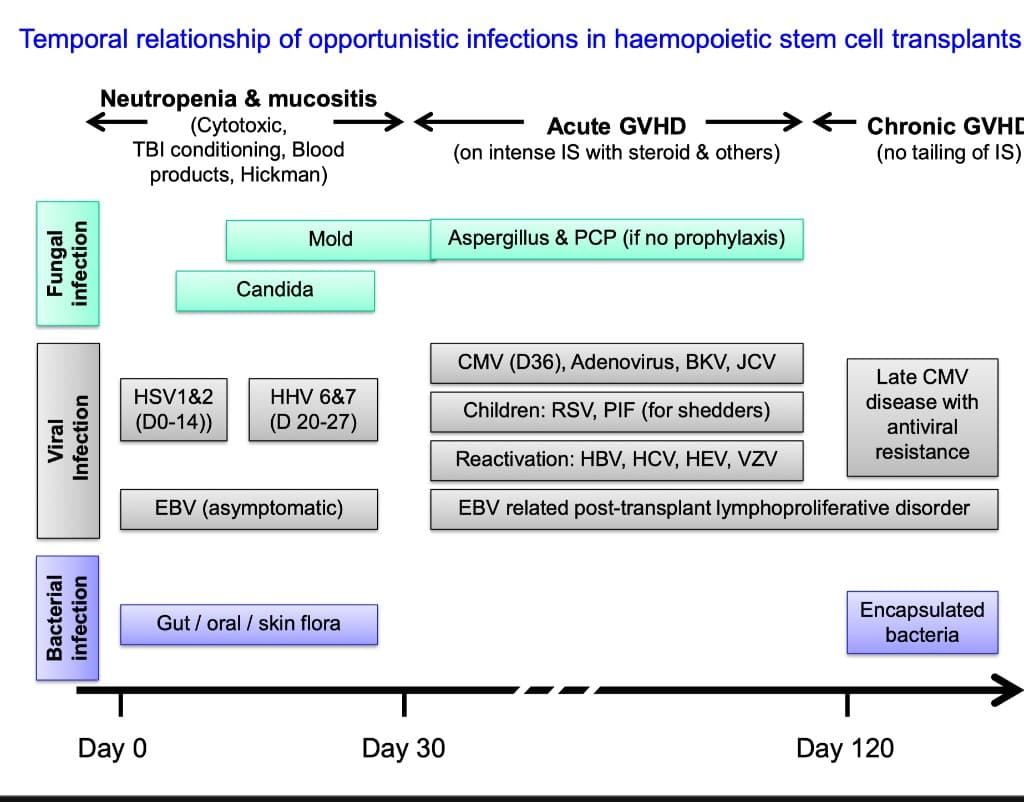 Temporal relationship of opportunistic infections in haemopoietic stem cell transplants, showing fungal, viral, and bacterial pathogens across neutropenia, acute GVHD, and chronic GVHD phases